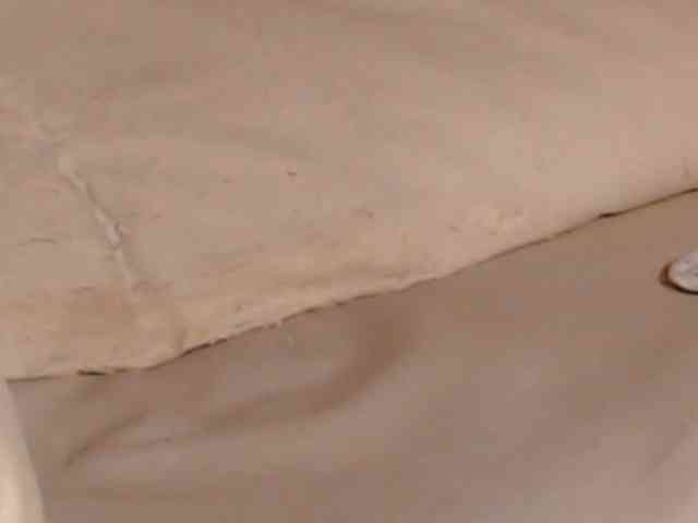 SquirtyMOMMY SquirtyMOMMY