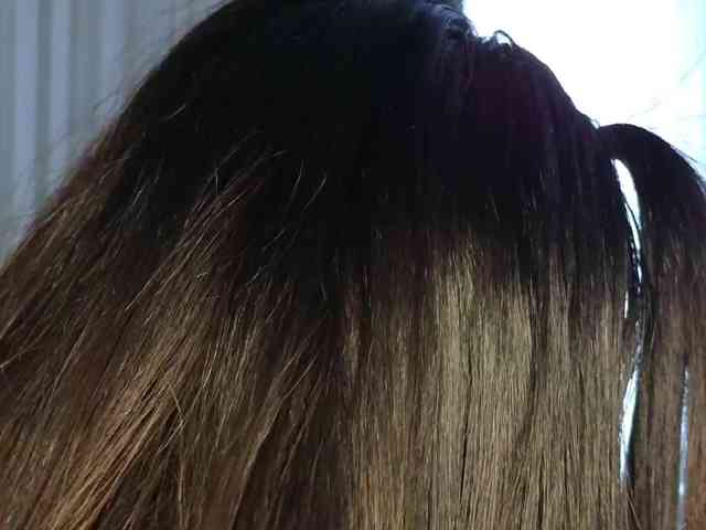 Theowonder Theowonder