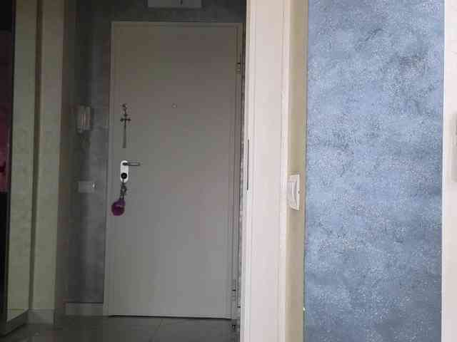 Theowonder Theowonder