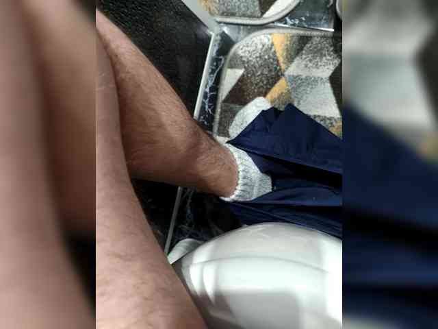 Tiger42037 Tiger42037