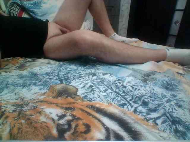 Tiger42037 Tiger42037