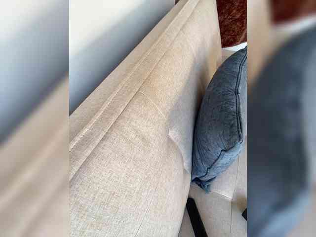 FurElisse Live Webcam on BongaCams