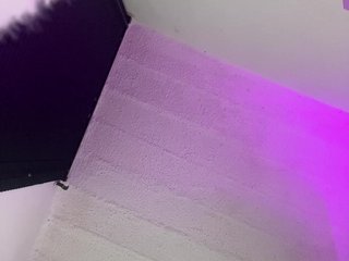 britt-grey Porn Show