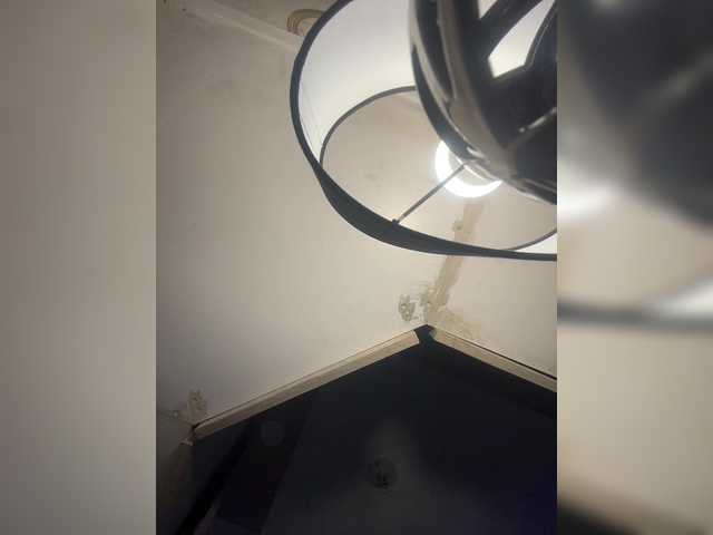 britt-grey's BongaCams show and profile