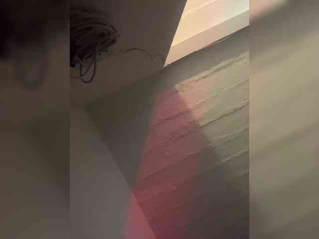 britt-grey britt-grey