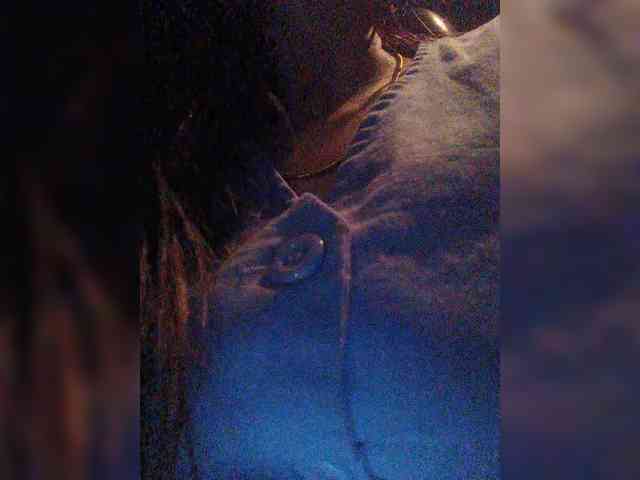 britt-grey britt-grey