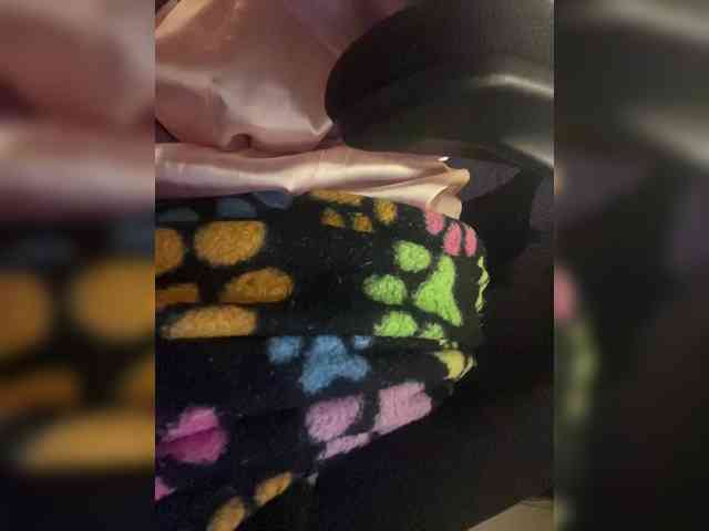 britt-grey webcam