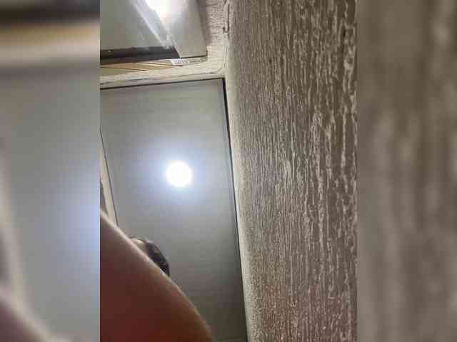 britt-grey britt-grey