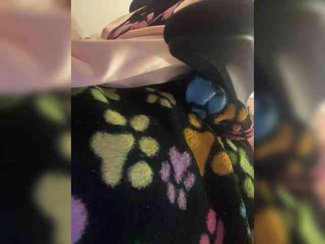 britt-grey webcam
