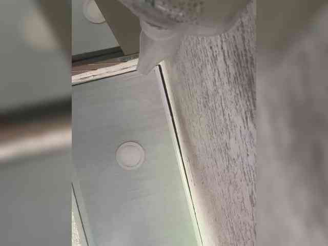 britt-grey webcam