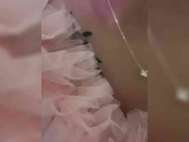 britt-grey webcam