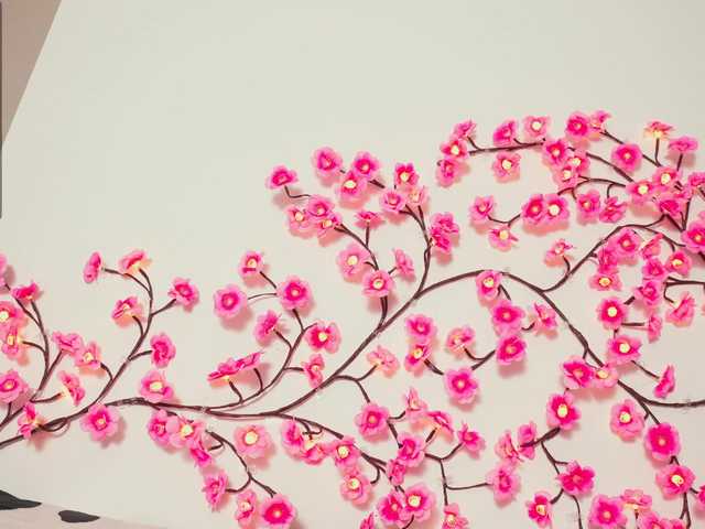 Preview of vasyasylvia1