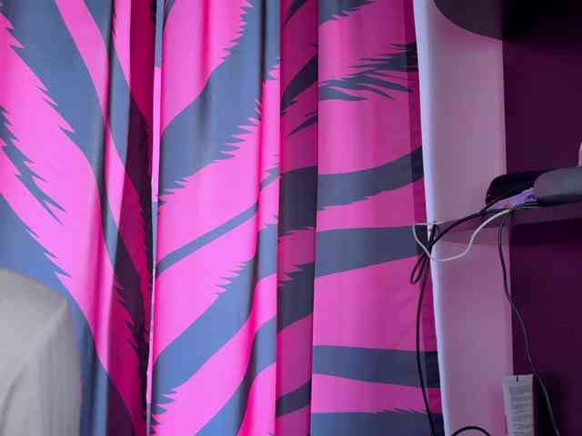 VasyaSylvia1 webcam