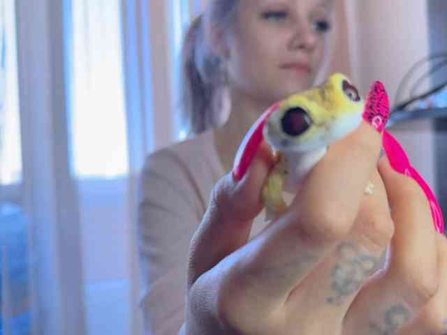 VasyaSylvia1 webcam