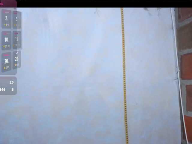 Preview of roosgonzalex