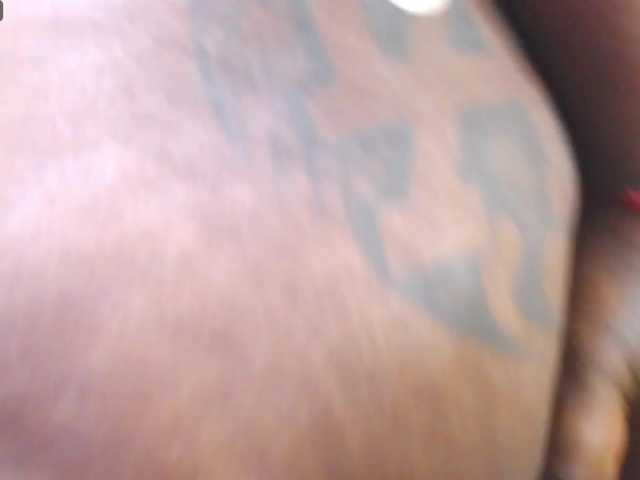 Preview of roosgonzalex