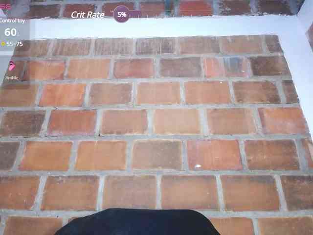 RoosGonzaleX webcam