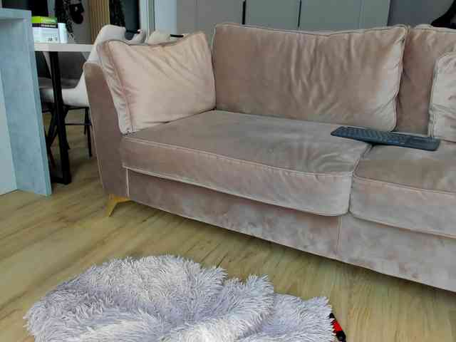 AllisonAlly webcam