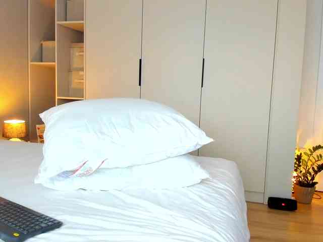AllisonAlly webcam