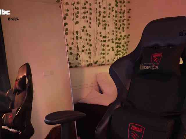 _Q_ webcam