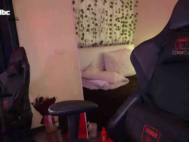 _Q_ webcam