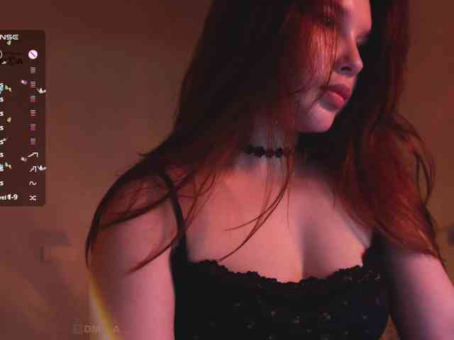 _Q_ webcam