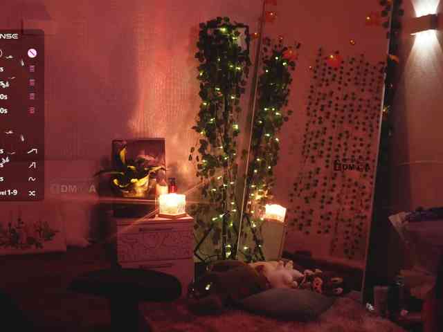 _Q_ webcam