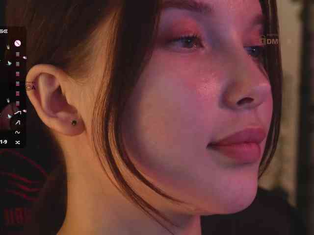 _Q_ webcam
