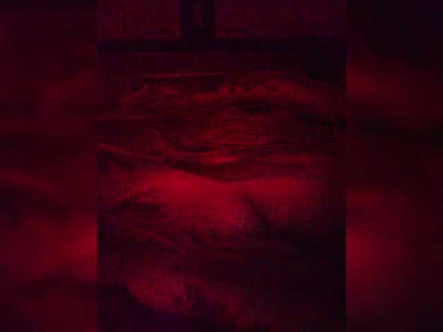 AdaliAda — bongacams