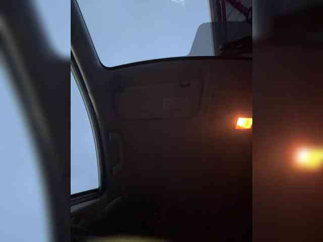 KateMid webcam