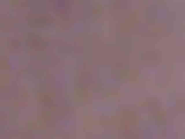 seinsdereve seinsdereve