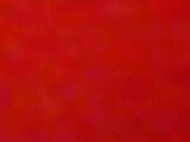 seinsdereve seinsdereve