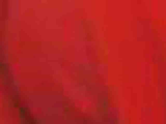 SeinsDeReve webcam