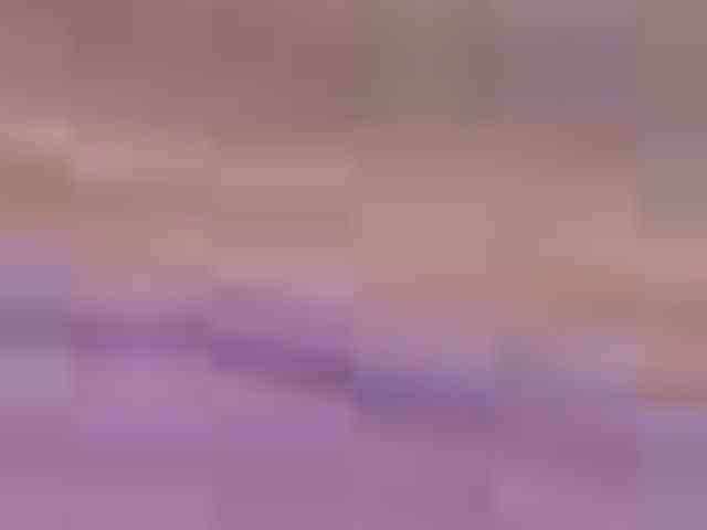 SeinsDeReve webcam