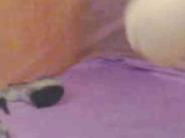 SeinsDeReve webcam