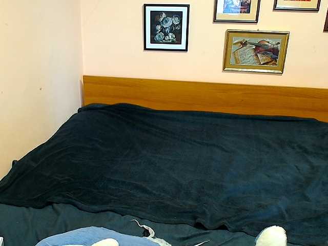 evarette's BongaCams show and profile