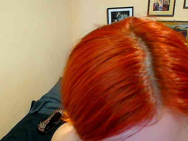 Evarette webcam