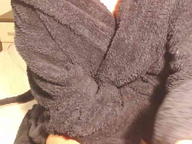 Lutetia webcam
