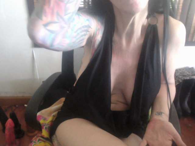 venusx1's BongaCams show and profile