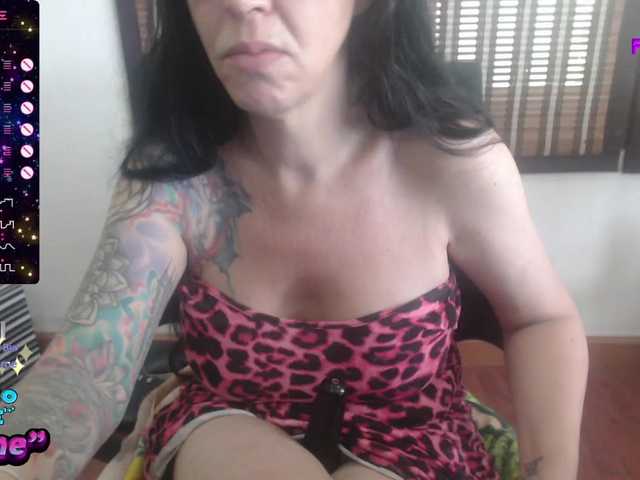 venusx1's BongaCams show and profile