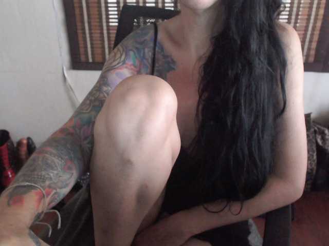 venusx1's BongaCams show and profile