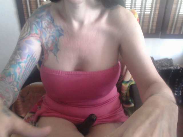 venusx1's BongaCams show and profile