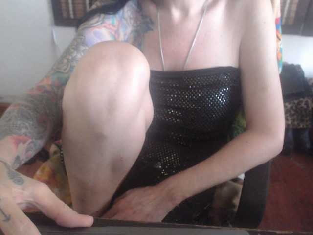 venusx1's BongaCams show and profile