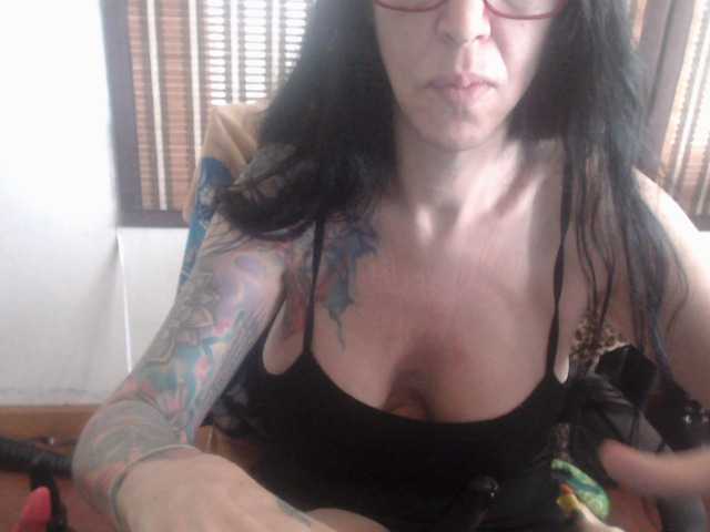 venusx1's BongaCams show and profile