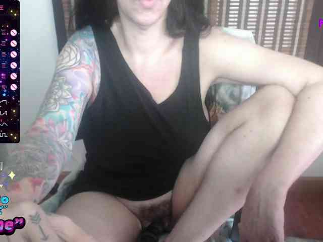 VenusX1 webcam