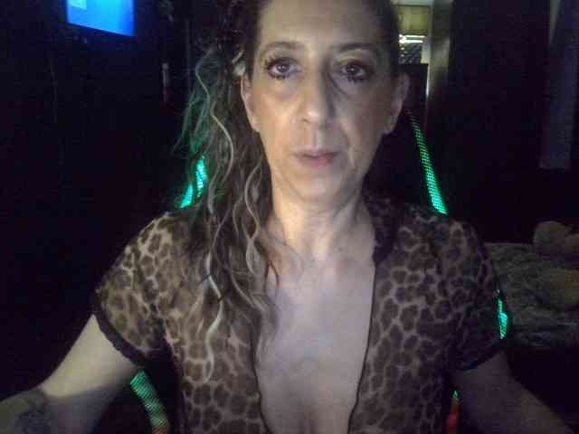 belgecoquine webcam