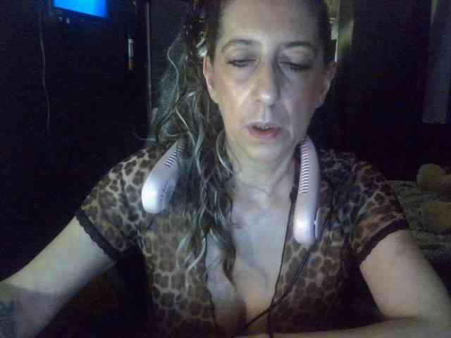 belgecoquine webcam