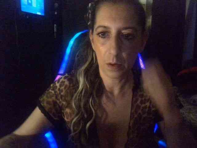 belgecoquine webcam