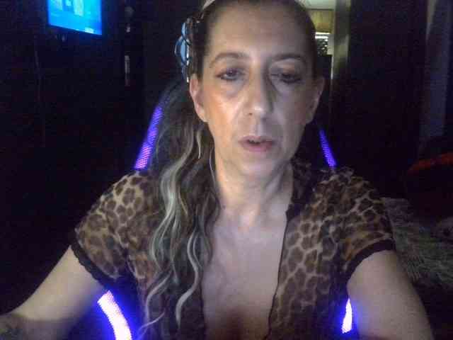 belgecoquine webcam
