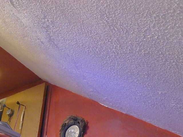 lanaxxx1's BongaCams show and profile